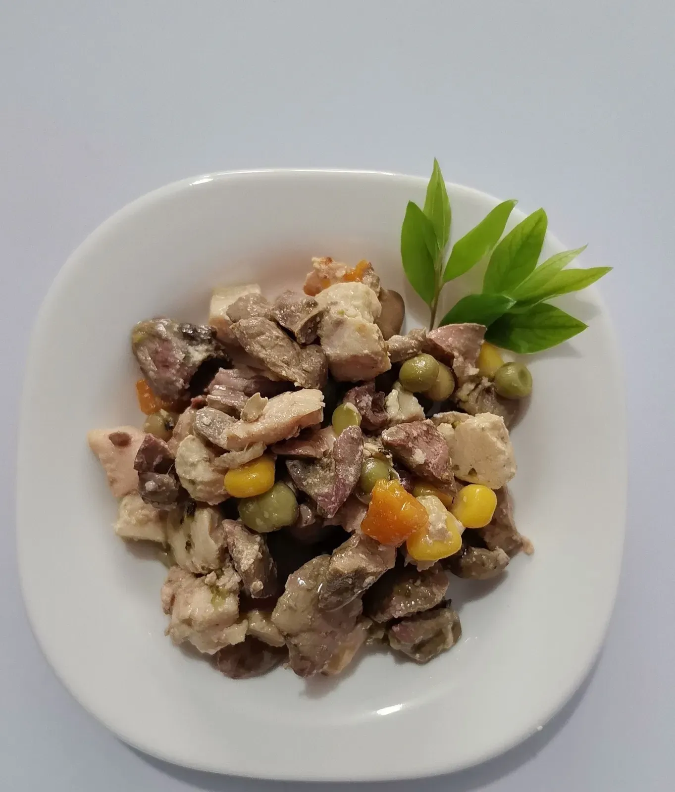 Chunky chicken wet pet food plated to show the meat pieces